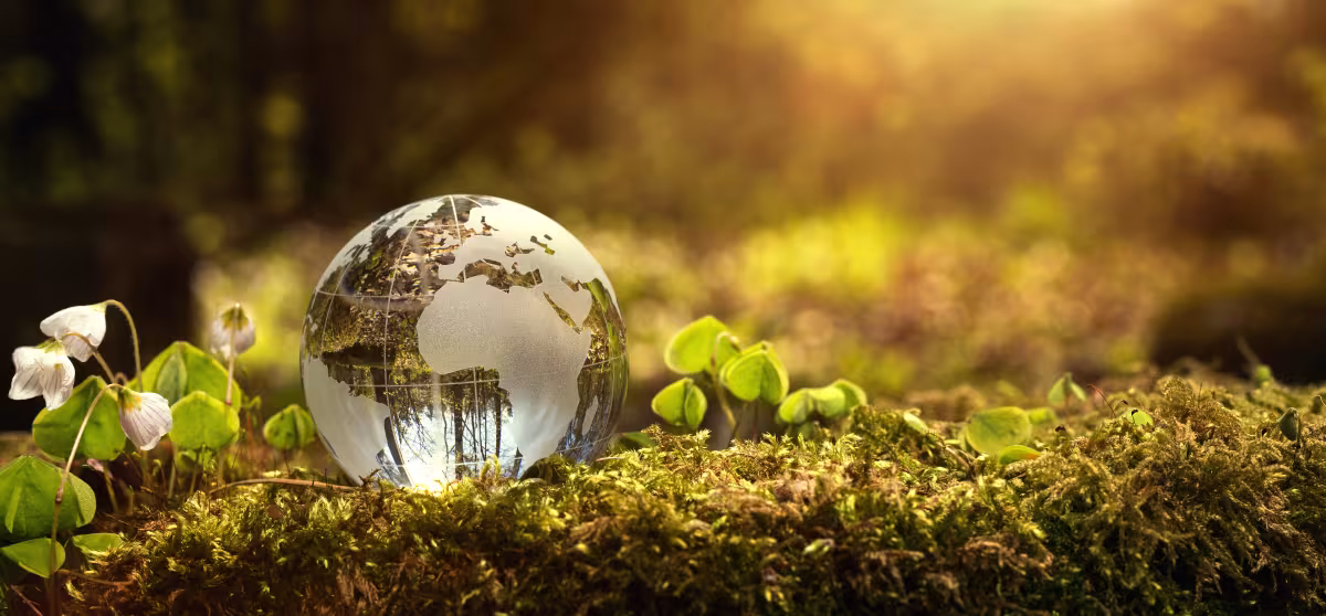come risparmiare energia